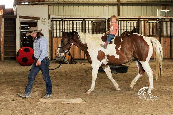 ranch-work-paint-horse