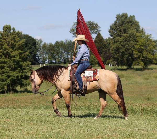 buckskin-quarter-horse