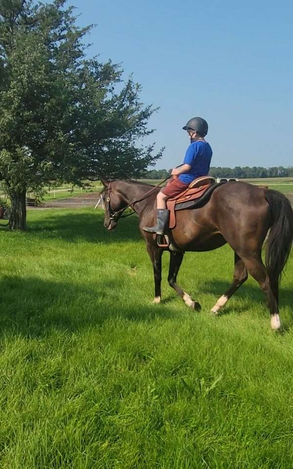 cowboy-mounted-shooting-quarter-horse