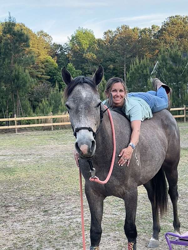 aqha-horse