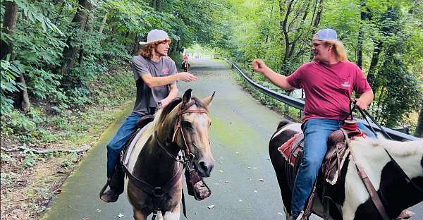 husband-safe-paint-horse