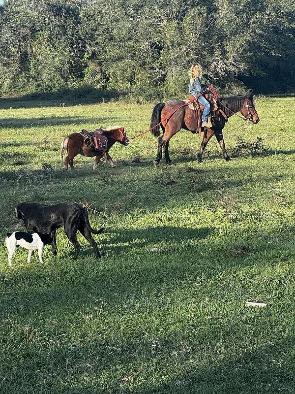 cowgirl-quarter-pony