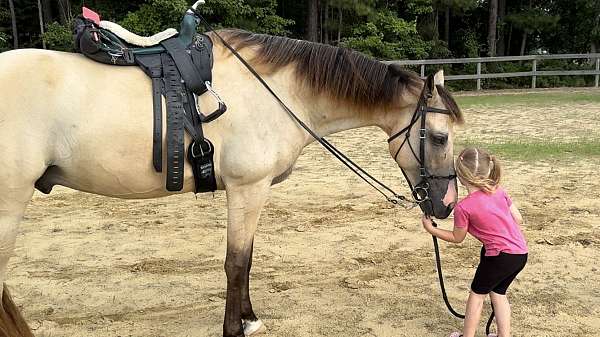 horsemanship-tennessee-walking-horse