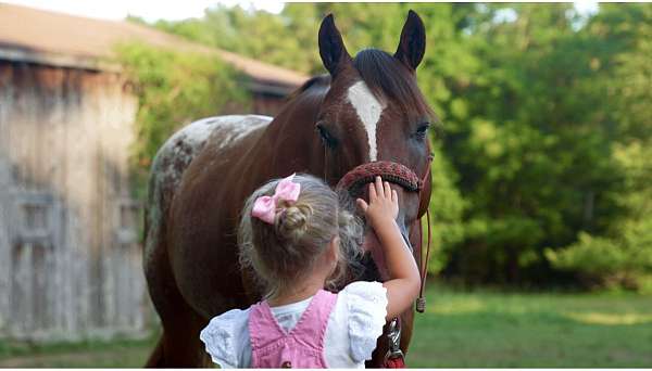 family-horse-poa