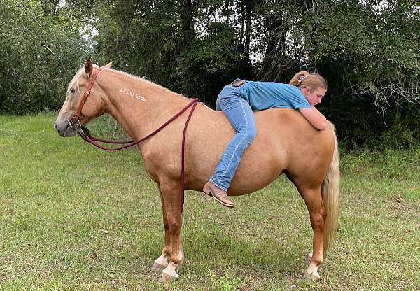 backs-mustang-horse