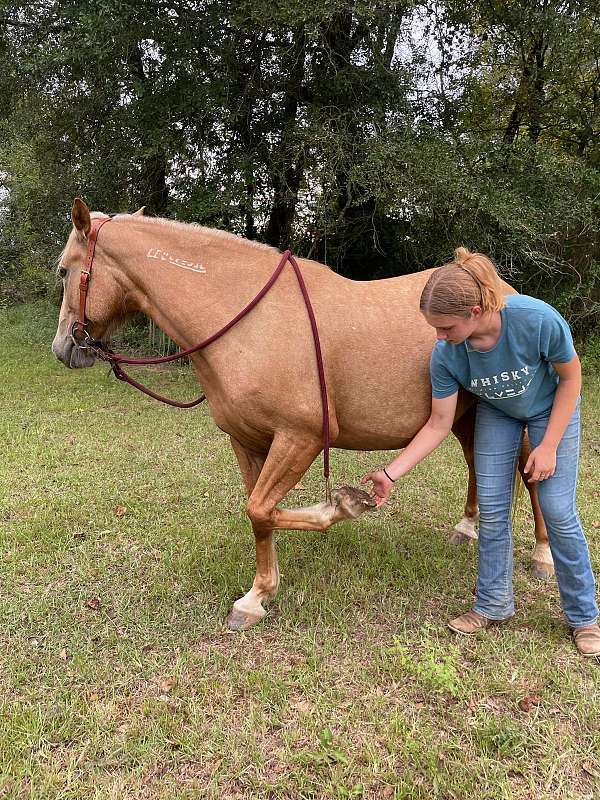 bridle-mustang-horse