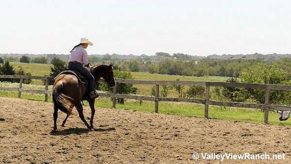 ranch-work-quarter-horse