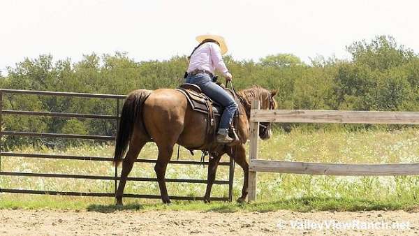 sorrel-cutting-horse