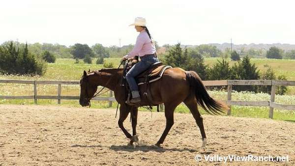 sorrel-quarter-horse-mare