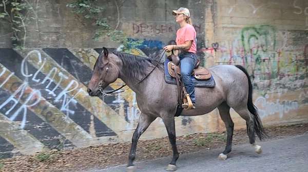 equitation-quarter-horse