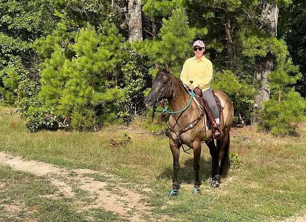 ridden-western-quarter-horse