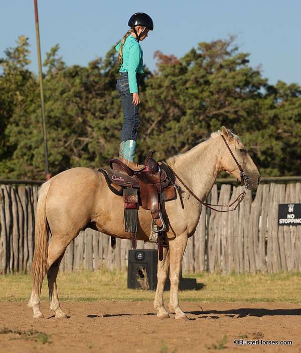 family-horse-quarter