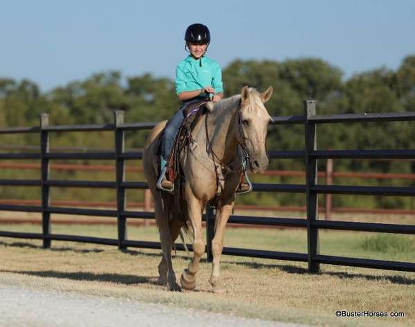 all-around-quarter-horse