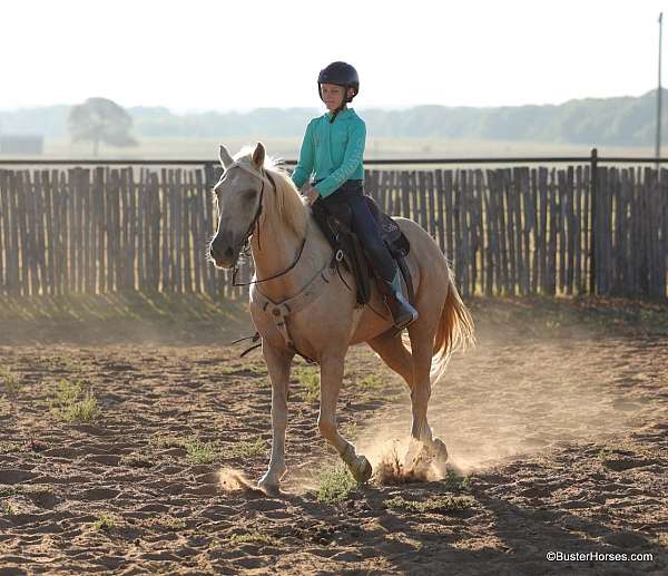 ranch-quarter-horse