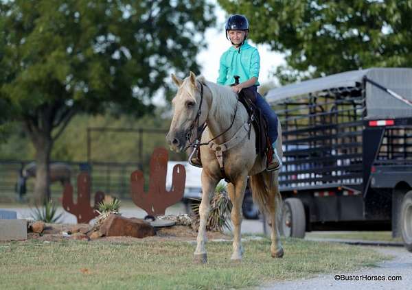 ranch-versatility-quarter-horse