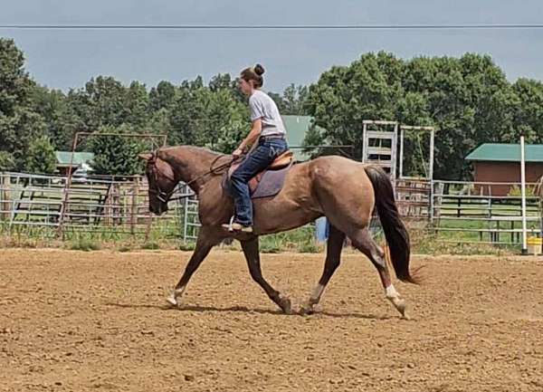 ranch-versatility-quarter-horse