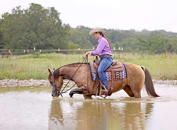 trail-quarter-horse