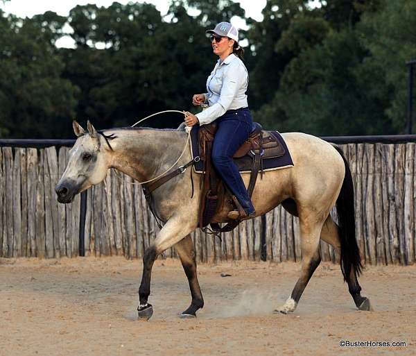 ranch-quarter-horse