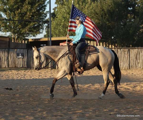 kid-safe-quarter-horse