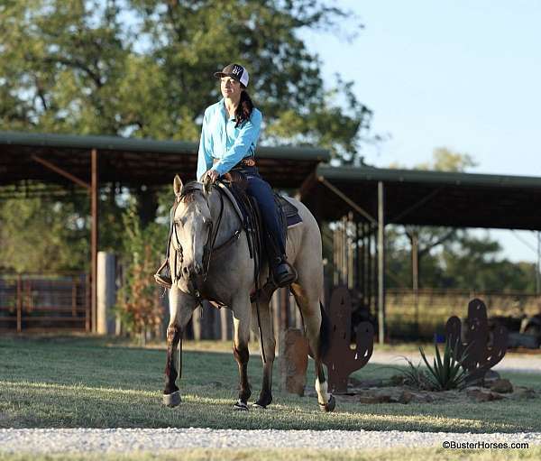 ranch-versatility-quarter-horse