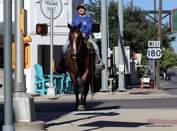 ranch-work-quarter-horse