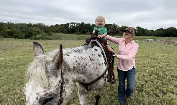 trail-horse-quarter