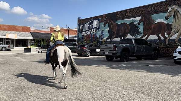 ranch-work-paint-horse