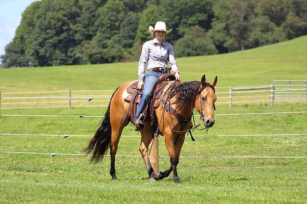 ranch-versatility-quarter-horse