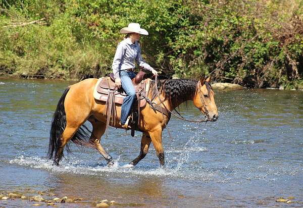 ranch-work-quarter-horse