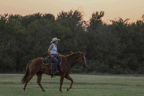 ranch-quarter-horse