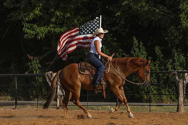 trail-riding-quarter-horse