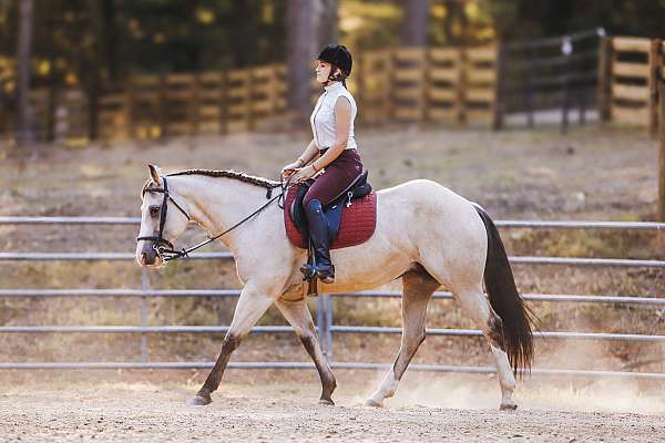 kid-safe-quarter-pony