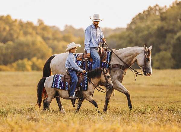 ranch-quarter-pony