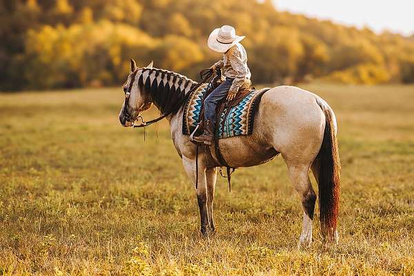 ranch-versatility-quarter-pony