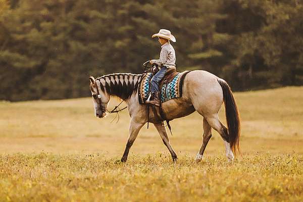 ranch-work-quarter-pony