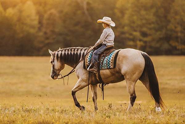 roping-quarter-pony