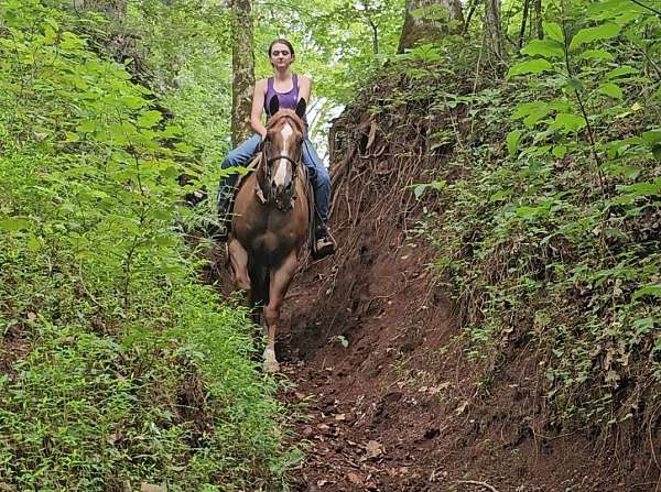 jumping-quarter-horse