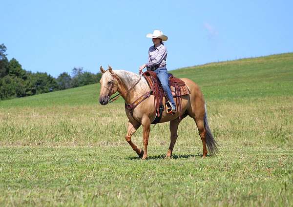 ranch-work-quarter-horse