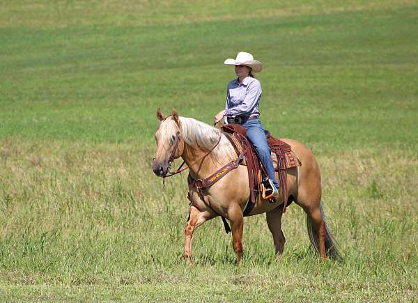 ridden-western-quarter-horse