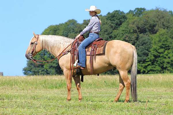 trail-riding-quarter-horse