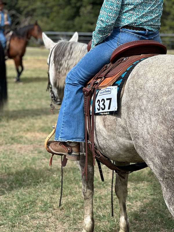 flashy-quarter-horse