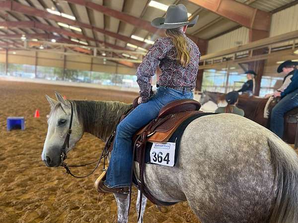 ranch-quarter-horse