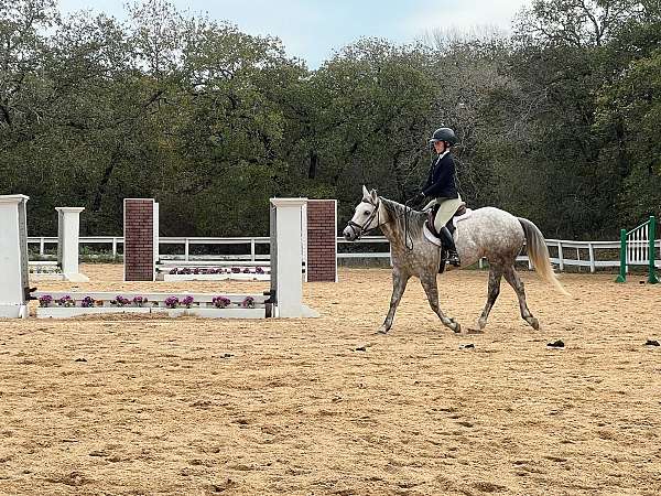 ranch-work-quarter-horse