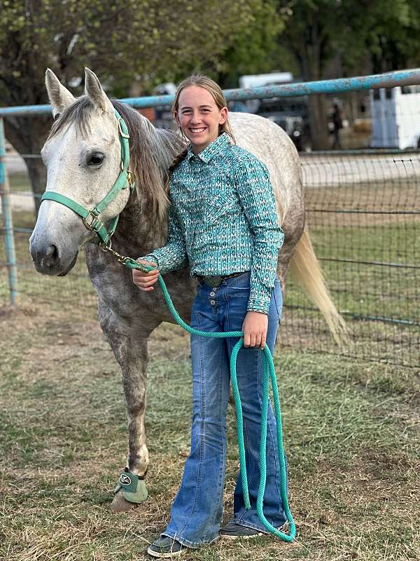 roping-quarter-horse