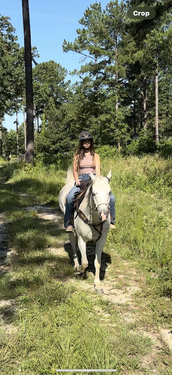 barrel-racing-quarter-horse