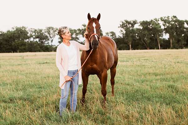 rodeo-horse-appendix