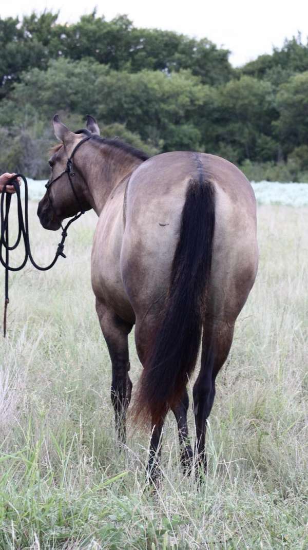 cowboy-mounted-shooting-quarter-horse