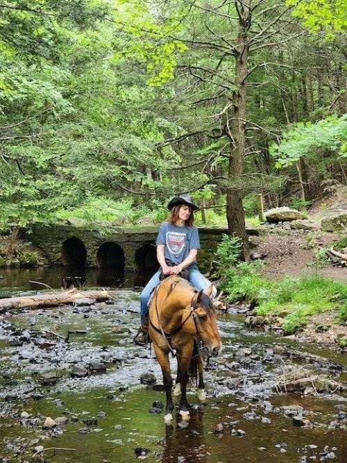 ranch-work-quarter-horse