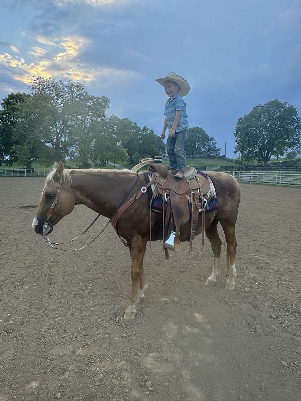 ranch-quarter-horse