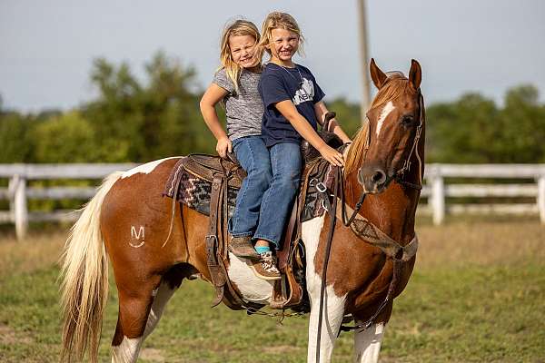 big-stop-quarter-horse